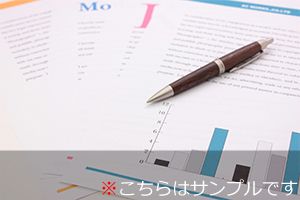 アクセス解析レポートのサンプル